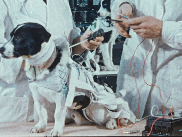 Kosmoso šunys / Space Dogs